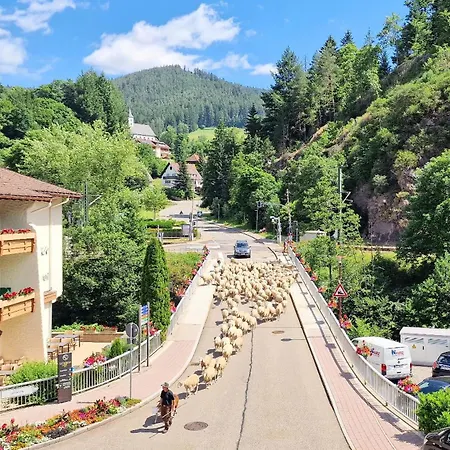 Blue Sky Flat, Apartment, 73qm, Bis 6 Personen, Neubau Sued-balkon Mit Lounge-moebeln, Schwarzwald-plus Inkl 80 Gratis-attraktionen Taeglich Lejlighed *