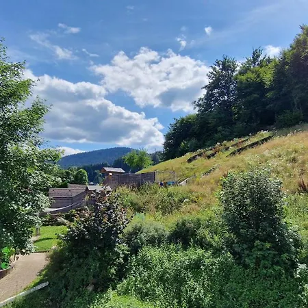 Lejlighed Blue Sky Flat, Apartment, 73qm, Bis 6 Personen, Neubau Sued-balkon Mit Lounge-moebeln, Schwarzwald-plus Inkl 80 Gratis-attraktionen Taeglich *