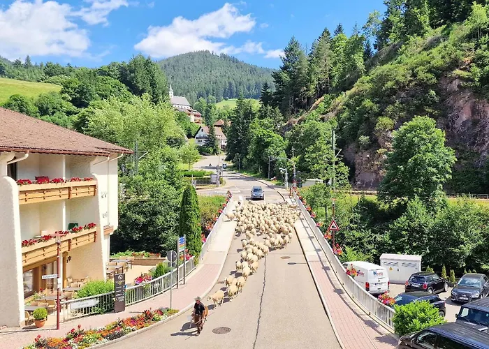 Blue Sky Flat, Apartment, 73qm, Bis 6 Personen, Neubau Sued-balkon Mit Lounge-moebeln, Schwarzwald-plus Inkl 80 Gratis-attraktionen Taeglich Апартаменты *